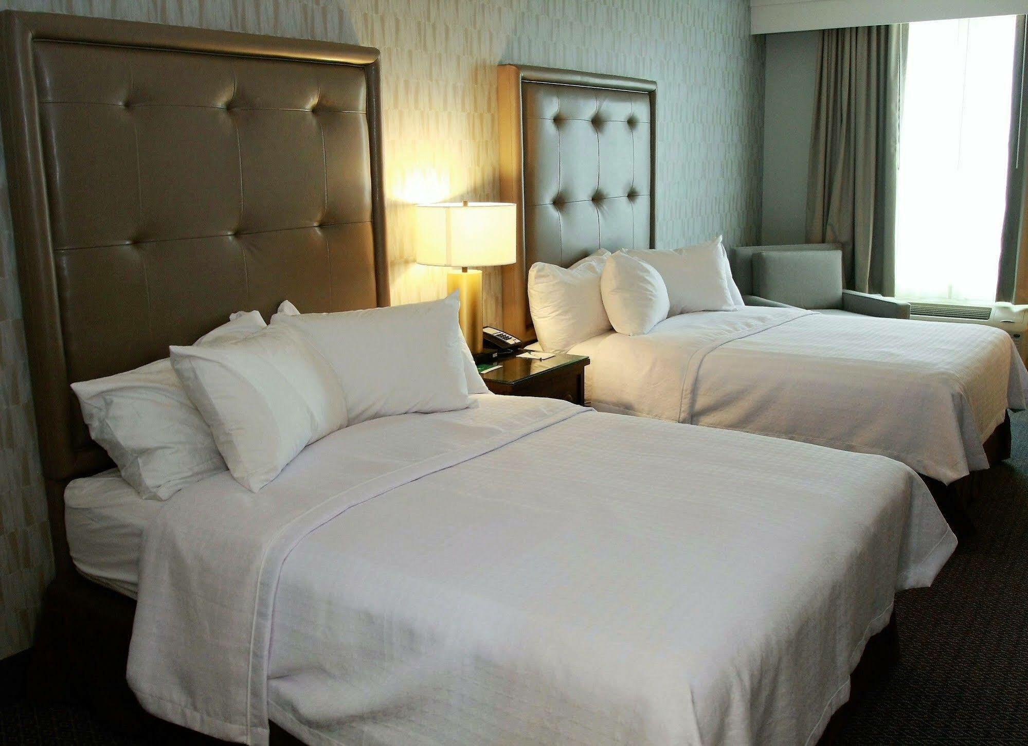 Homewood Suites By Hilton Dallas Arlington South Buitenkant foto