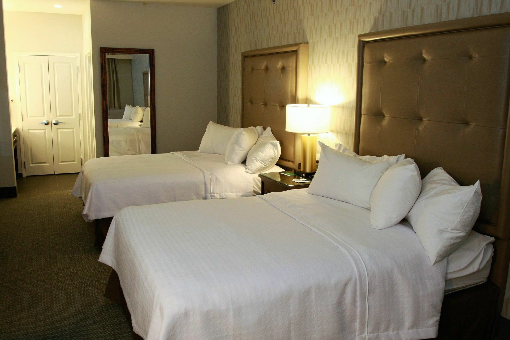 Homewood Suites By Hilton Dallas Arlington South Buitenkant foto
